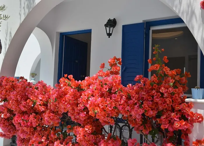 Dedalos Studios Naxos