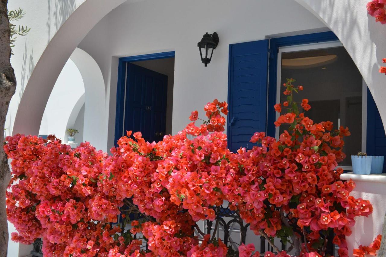Dedalos Naxos Aparthotel Naxos City