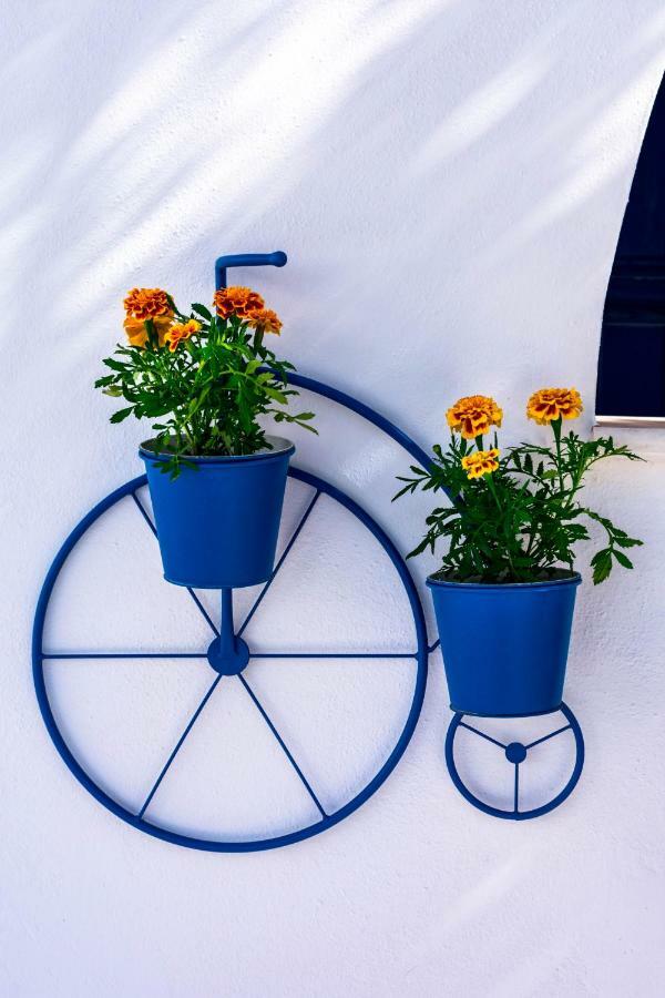 Aparthotel Dedalos Naxos *